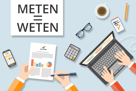 Lees meer over het artikel Vrijwilliger Impact
