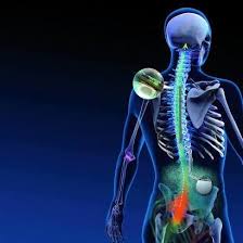 Lees meer over het artikel Revolutionaire zelfsturende neurostimulator nu ook in Nederland